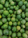 Persian Lime top view on display Royalty Free Stock Photo